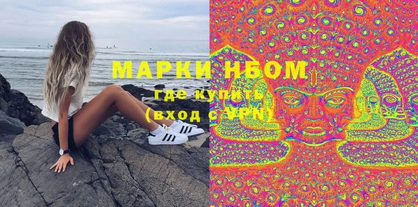 PSILOCYBIN Белокуриха