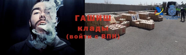 PSILOCYBIN Белокуриха