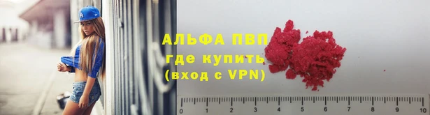 PSILOCYBIN Белокуриха