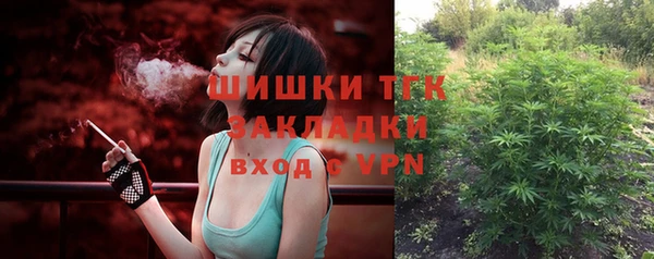 PSILOCYBIN Белокуриха