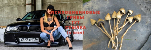 гашик Беломорск