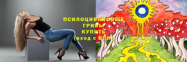 гашик Беломорск